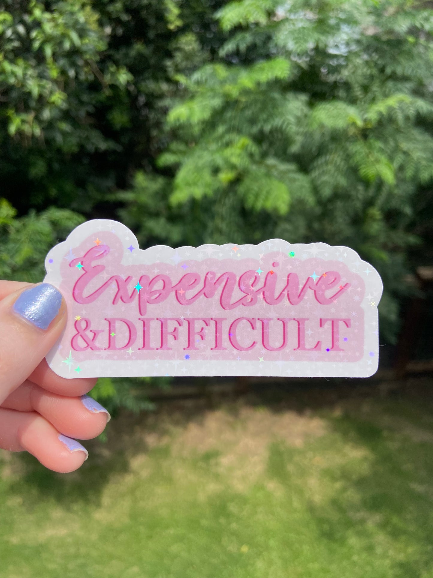 “Expensive and Difficult” - Holographic sticker